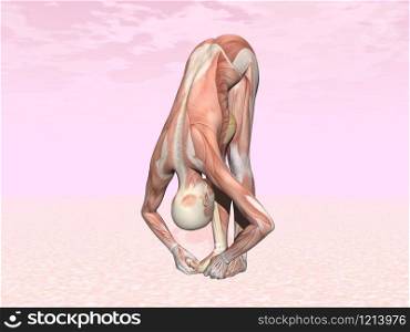 Big toes yoga pose for woman with muscle visible in pink background. Big toes yoga pose for woman with muscle visible