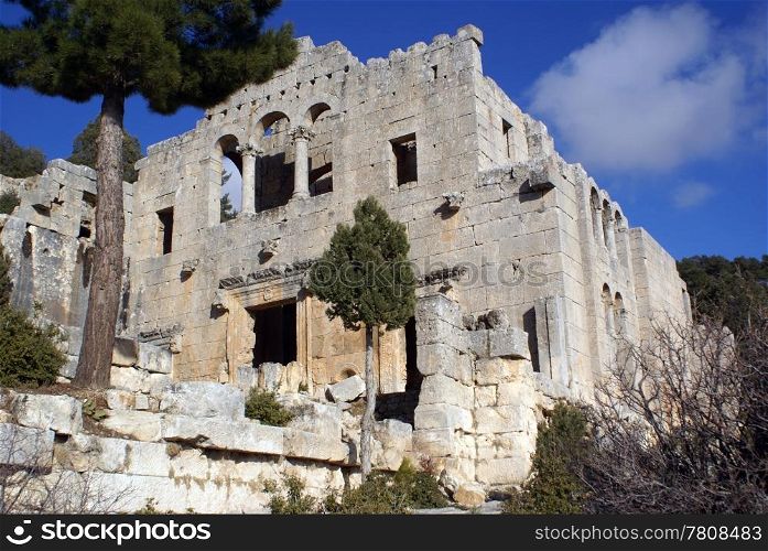 Big tree and ruins of Alahan monastery, south Turkey