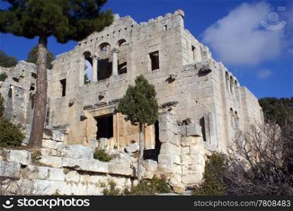 Big tree and ruins of Alahan monastery, south Turkey