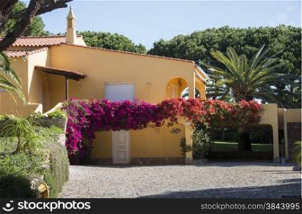 big villa in portugal with bougainville flowers and palmtree next to the house