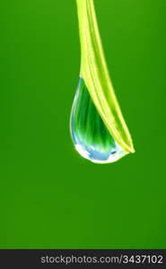 big water drop on grass blade