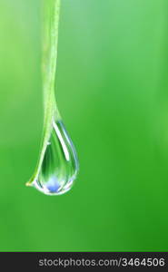 big water drop on grass blade