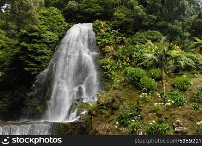 big waterfall among green plants in azores, portugal