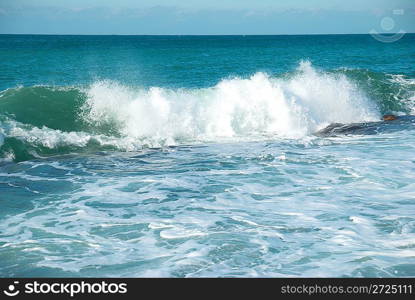 Big wave with sea foam and blue water