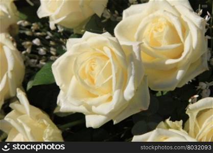Big white roses in a floral arrangement