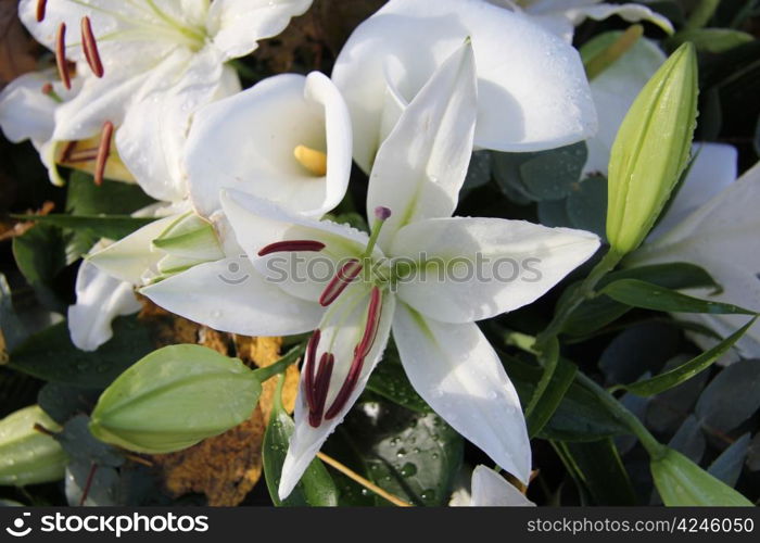 Big white tiger lily in a flower arrangement