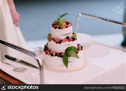 Big white wedding cake with fruit is on the table close up. Big white wedding cake with fruit is on the table