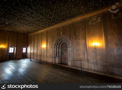 Big wooden room with decorated ceiling at old castle