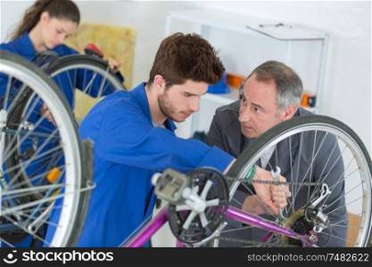 bike apprentice assembler