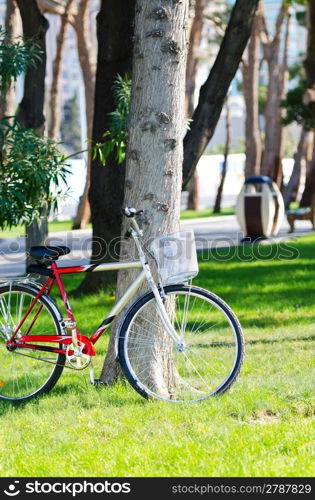 Bike bicycle in the park