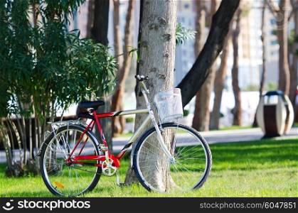 Bike bicycle in the park