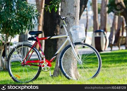 Bike bicycle in the park