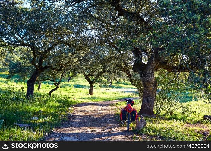 Bike by Via de la Plata way in Andalusia Dehesa Spain to Santiago compostela