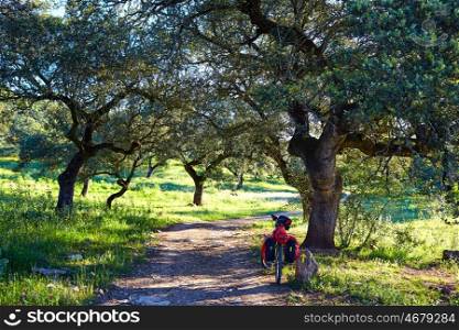 Bike by Via de la Plata way in Andalusia Dehesa Spain to Santiago compostela