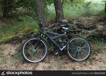 bike near a tree in the forest, bicycle travel, bike in the foreground
