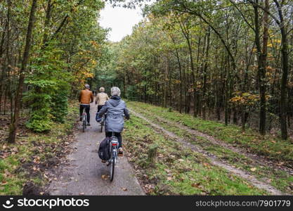 Bike Ride through the Forest in Holland