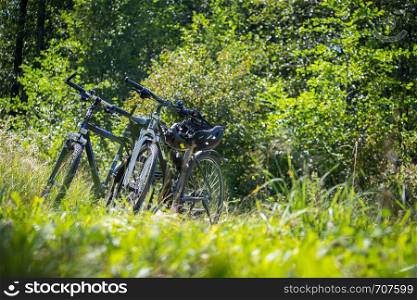 Bike tour. Bike, grass and wood. Outdoors, text space