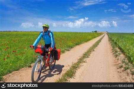 Biker by Camino de Santiago in bicycle at Saint James Way of Levante of Spain