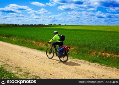 Biker on The Way of Saint James in Castilla Leon cereal fields of Spain