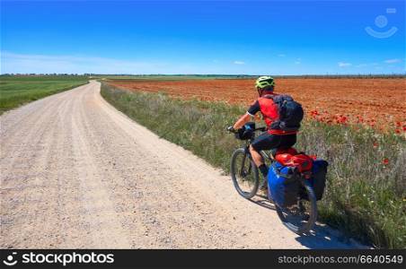 Biker pilgrim by Camino de Santiago in bicycle at Saint James Way of Levante