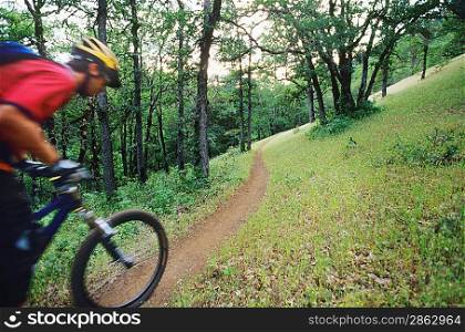 Biker riding on forest trail