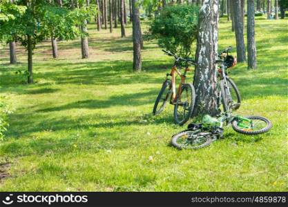Bikes lying near tree in the green forest