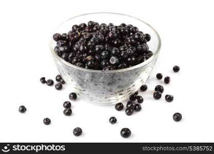 Bilberries in glass bowl close up isolated on white backgraund