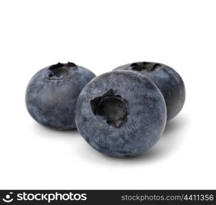 Bilberries or whortleberries cutout isolated on white background