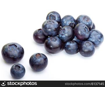 Bilberry berries