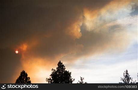 Billowing smoke rises up from an uncontrolled forest fire in national forest land