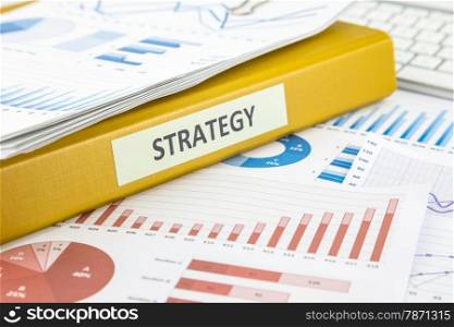Binder of marketing strategy documents and graphs analysis from business survey reporting