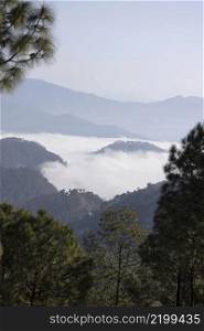 Binsar with  panoramic view of the mountains, Uttarakhand, India