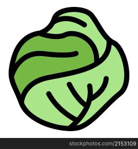 Bio cabbage icon. Outline bio cabbage vector icon color flat isolated. Bio cabbage icon color outline vector