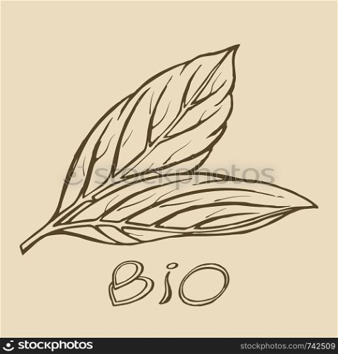 Bio leaf hand drawn logo sketch templates for organic, bio, farmers product design sketch. Vector illustration, food design. . Bio leaf logo sketch