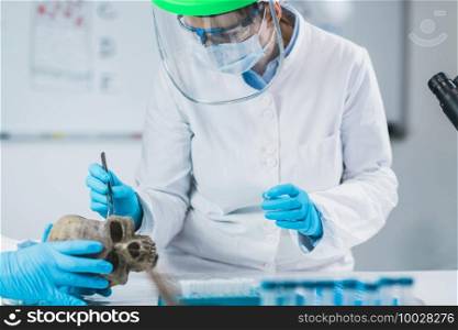 Bioarcheology. Young female archaeologist analyzing human skull in ancient DNA laboratory.. Bioarcheology. Archaeologist Analyzing Ancient Human Skull in Laboratory