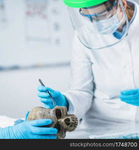 Bioarcheology. Young female archaeologist analyzing human skull in ancient DNA laboratory.. Bioarcheology. Archaeologist Analyzing Ancient Human Skull in Laboratory