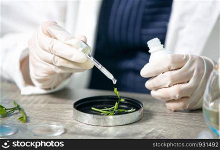 Biochemistry specialist experiment on Natural organic botany and scientific glassware, Alternative herb medicine, Natural skin care beauty products, Research and development concept.