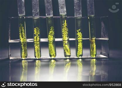 biofuel laboratory with algae, research experiments, educational demonstrations in medical and clinical laboratories