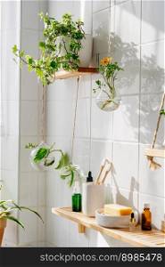 Biophilic design in modern eco friendly bathroom. Glass hanging plant pots. Shadows on the wall. Biophilic design of white bathroom