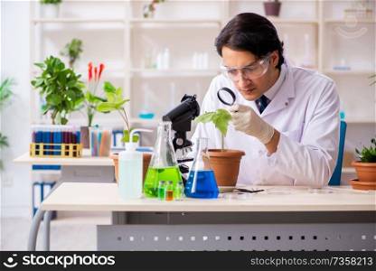 Biotechnology chemist working in lab