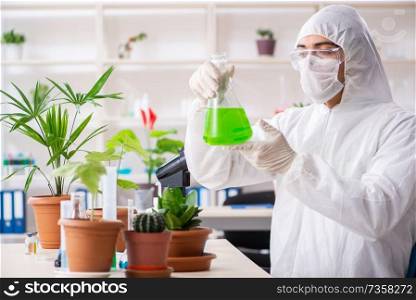 Biotechnology chemist working in lab