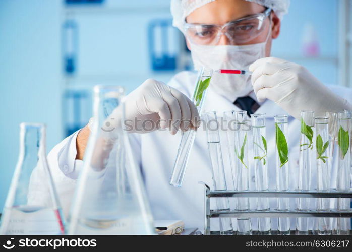 Biotechnology concept with scientist in lab