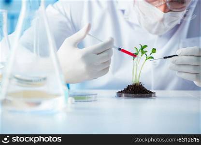 Biotechnology concept with scientist in lab