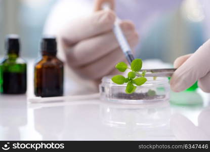 Biotechnology concept with scientist in lab