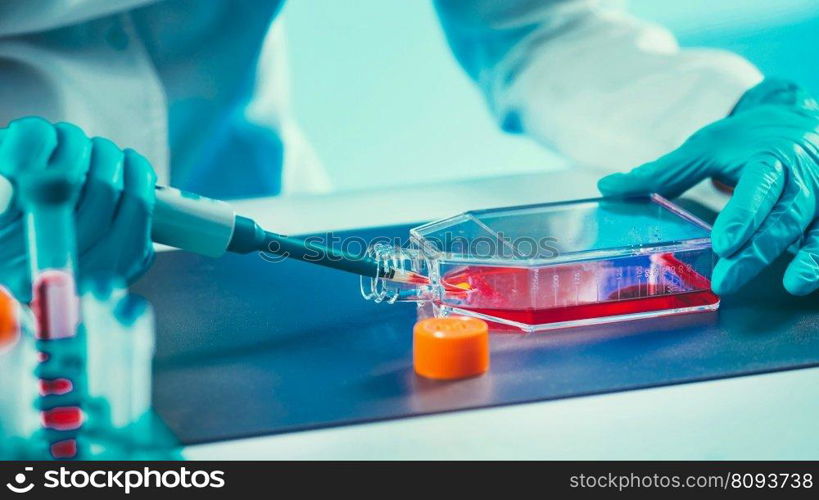 Biotechnology engineer inspecting cell culture flask