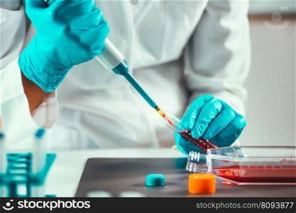 Biotechnology engineer inspecting cell culture flask