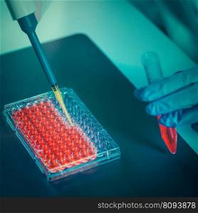 Biotechnology engineer inspecting cell culture flask