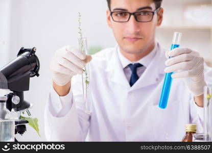 Biotechnology scientist chemist working in lab