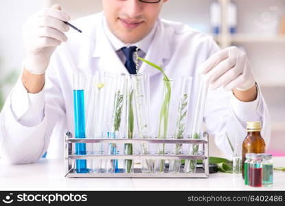 Biotechnology scientist chemist working in lab