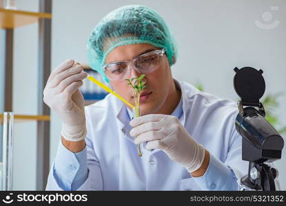 Biotechnology scientist working in the lab